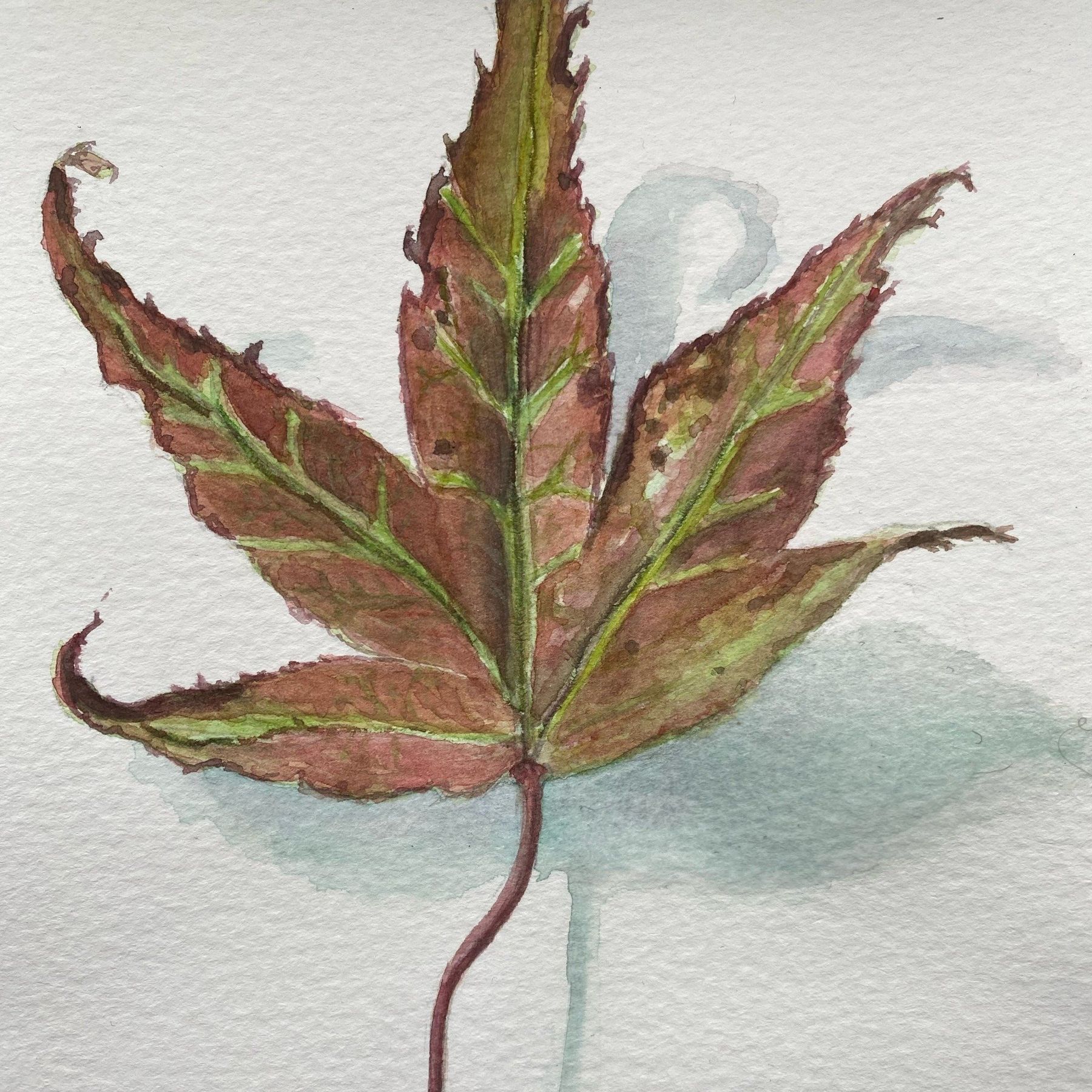 We offer beginner's drawing and painting courses which are designed to elevate your skill levels.