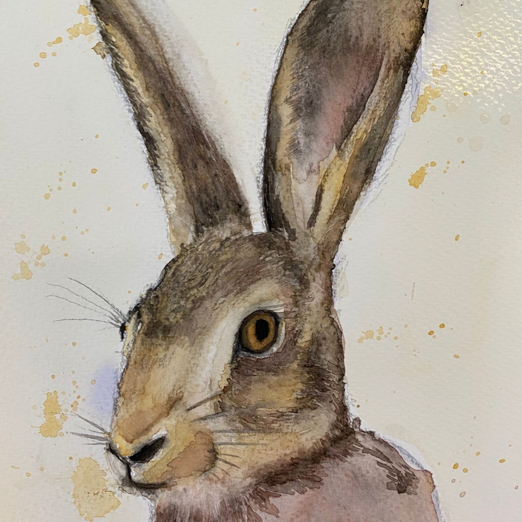 Create charming animal portraits on our animal painting course.