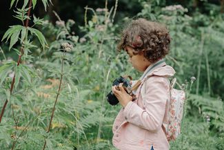 Photographing butterflies in the wood