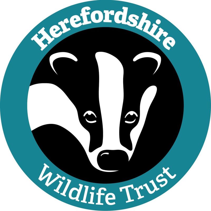Herefordshire Wildlife Trust Charity Shop
