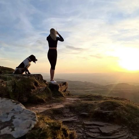 Bonnie the Springer Hay Bluff