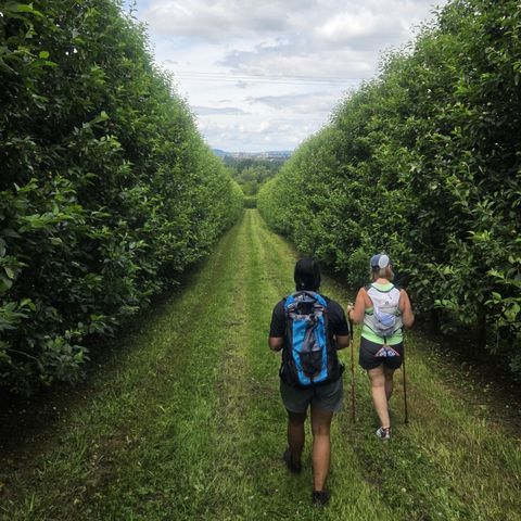 Out of the City — The Dinedor Walk