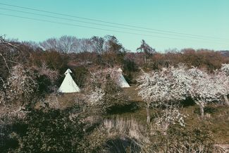 white house glamping