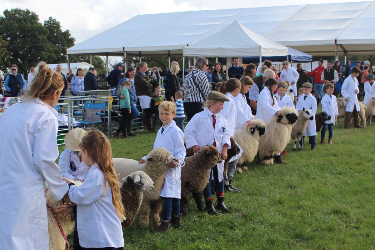 Kington Show