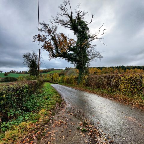 Bromyard