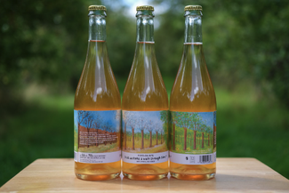 Bottles of cider