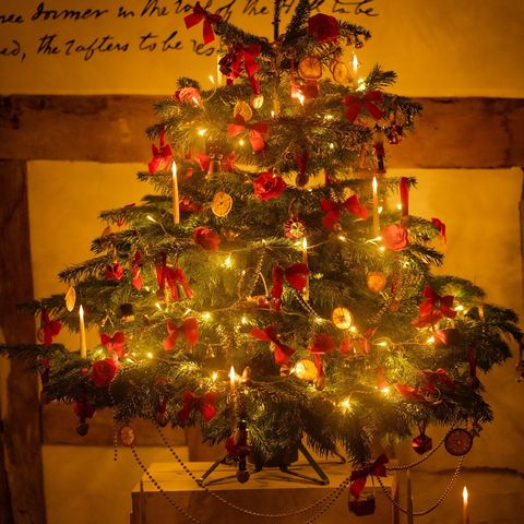 A Christmas Tree with traditional decorations