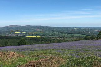 Hill-top view from climbing the Jack trail in Mortimer Forest