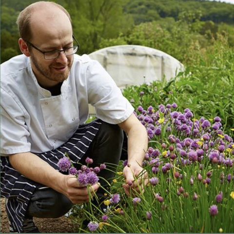 Chef Andy Link picking chives