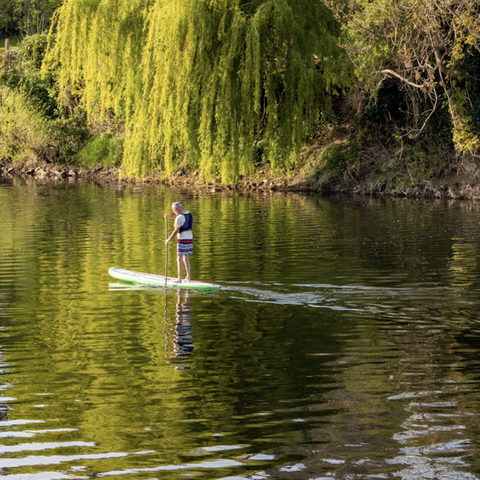 Paddle Boarding