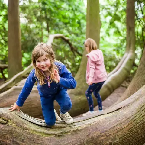 Climbing over treetrunks