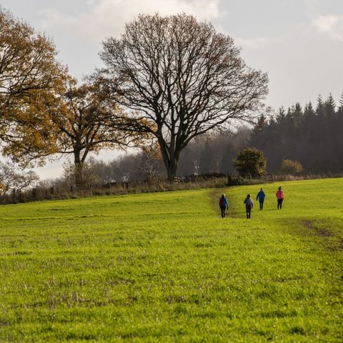 Weobley