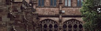 Woman walking past the hydrangeas at hereford cathedral