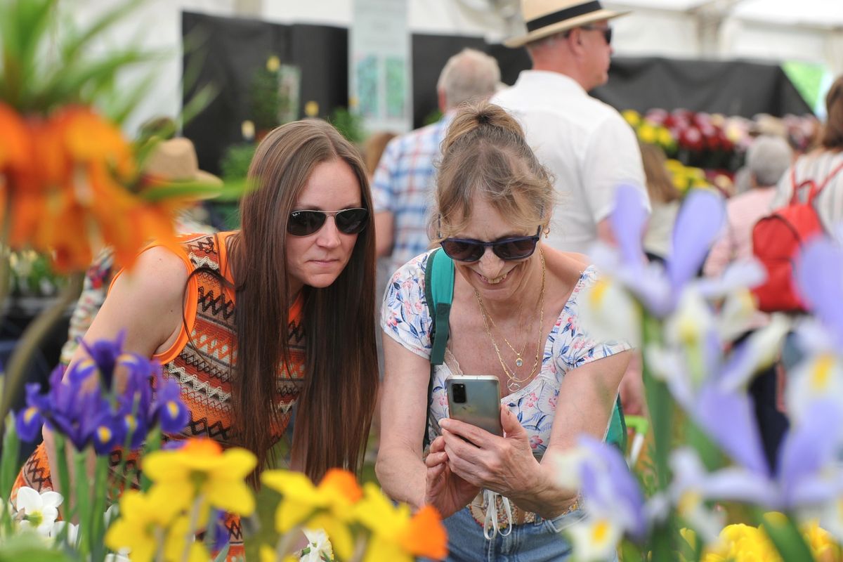 RHS Malvern flower show