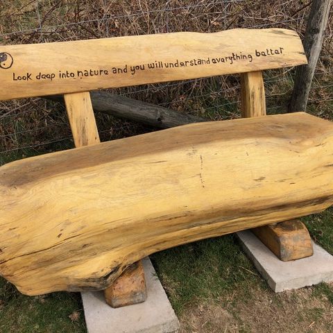 a carved bench