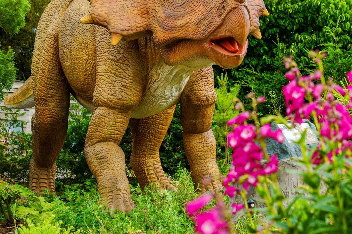 Who Let The Dinosaur Out? Summer Holidays Dinosaur Event