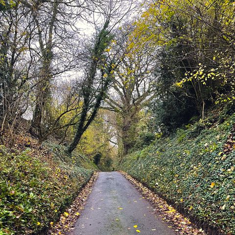 Leintwardine track road