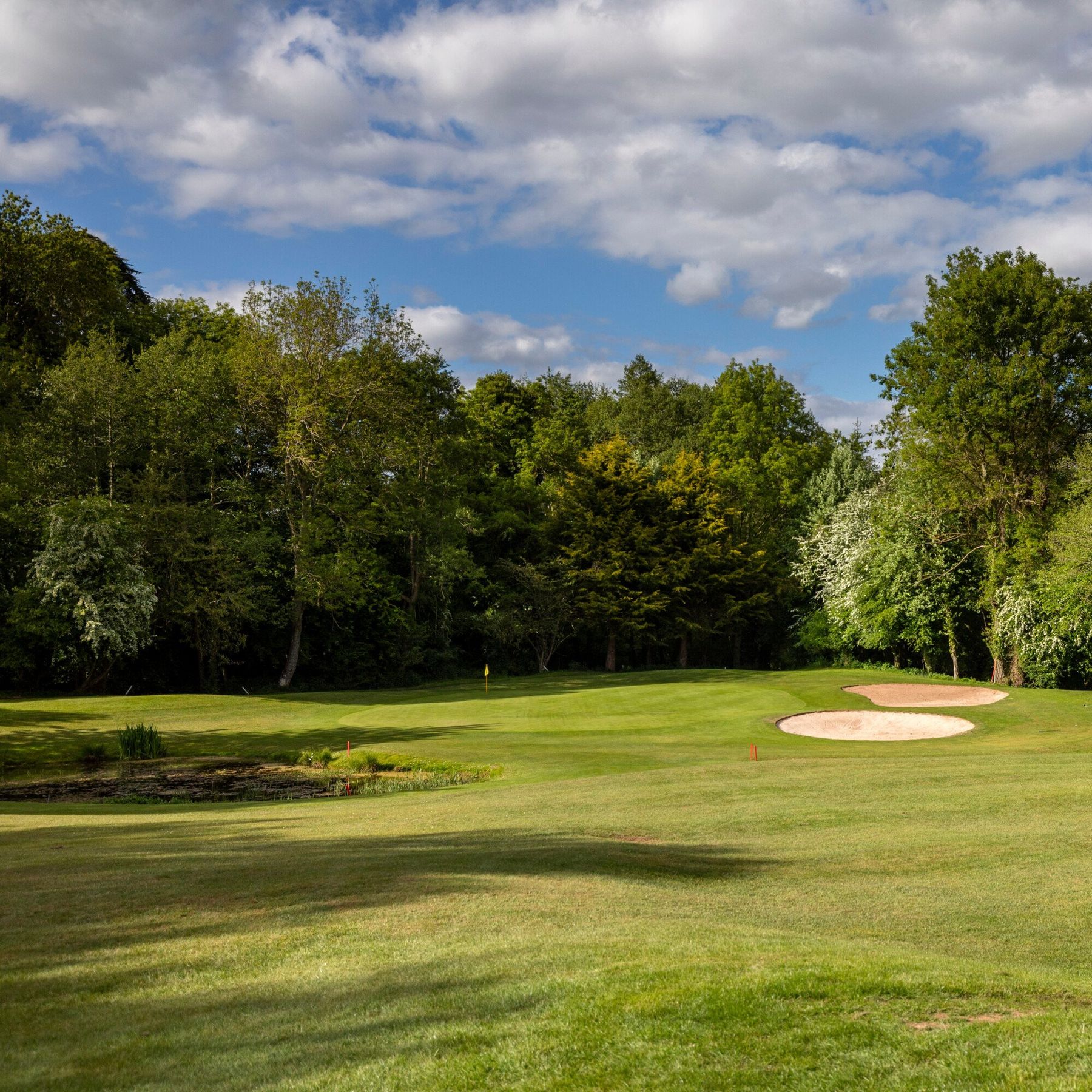 The 15th Par 3