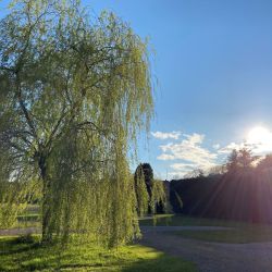Meadow Brook camping field