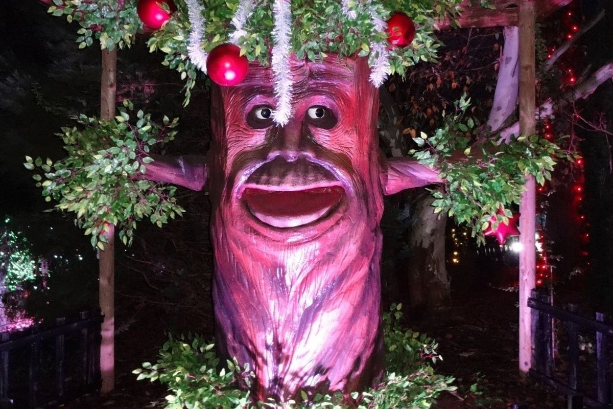 Talking Tree