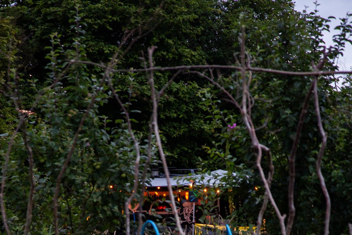Stroll through the orchard and permaculture garden