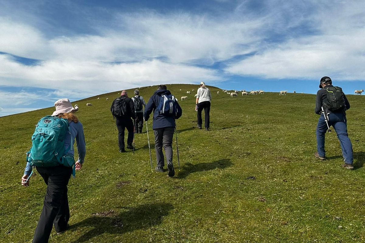 People walking up a hill