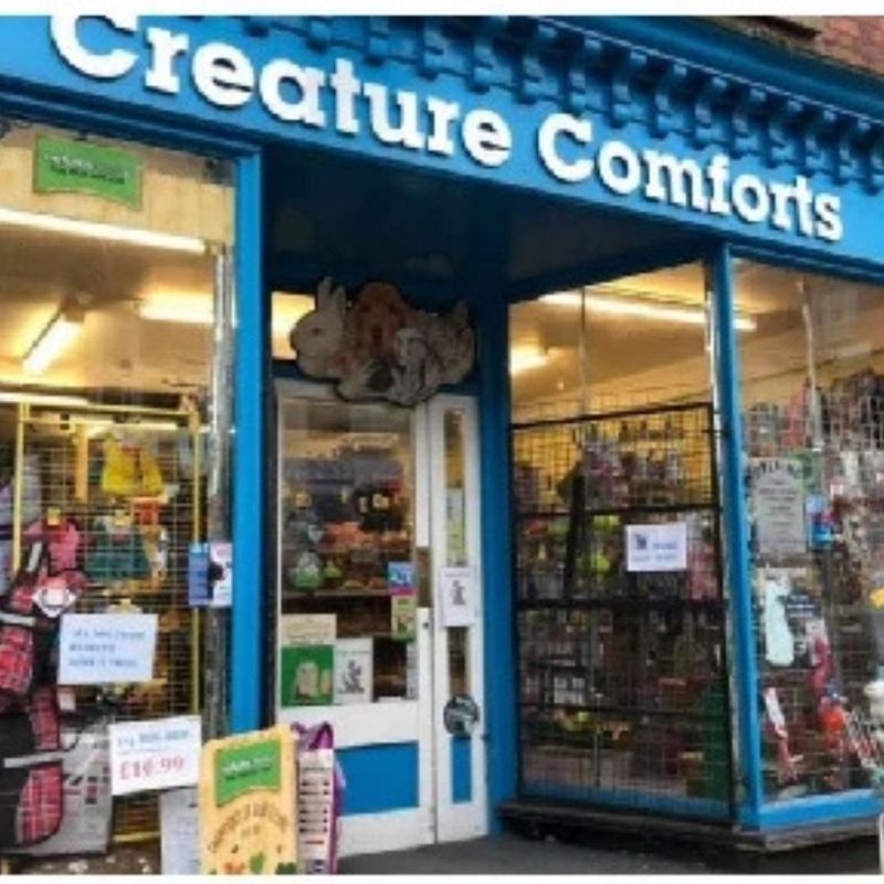 Creature Comforts
