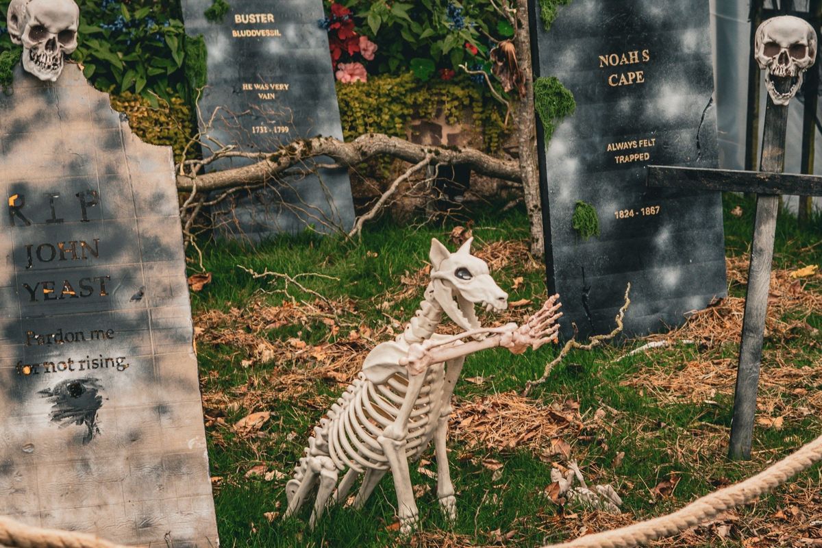Halloween Daytime Event