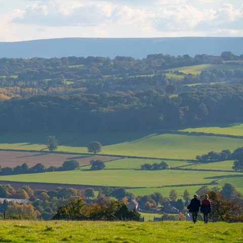 wye valley