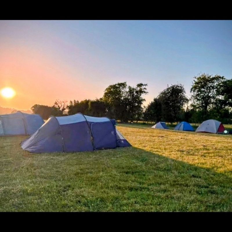 Primrose Smallholding &amp; Camping
