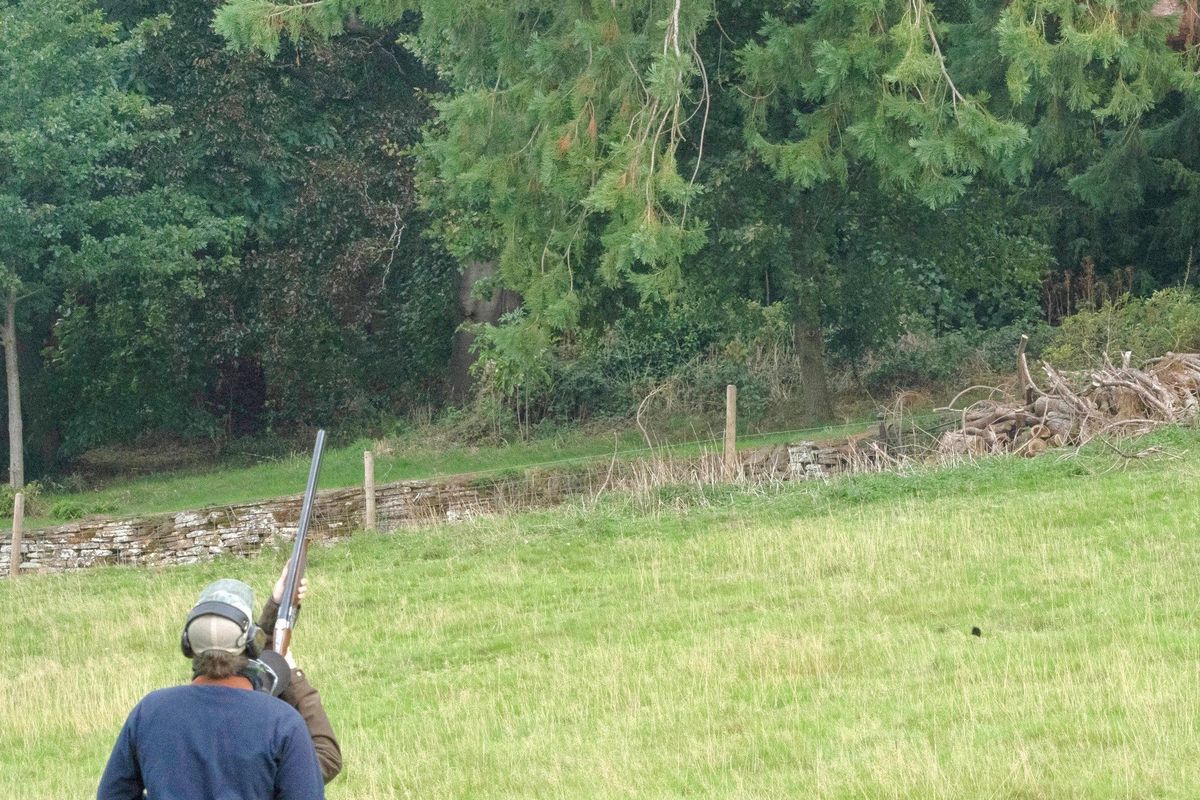Rowden Abbey Shoot Day into the woodland