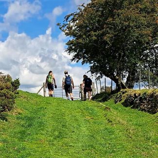 Walking in hay on wye