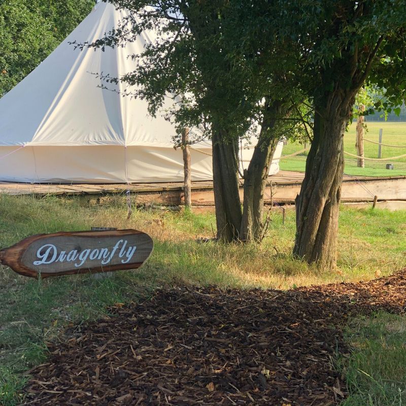 Pond and Beyond Glamping