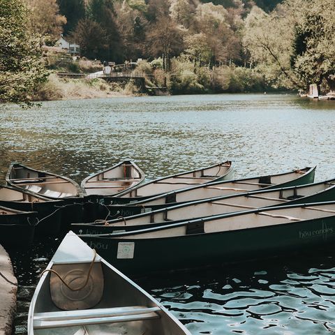Canoes at water's edge