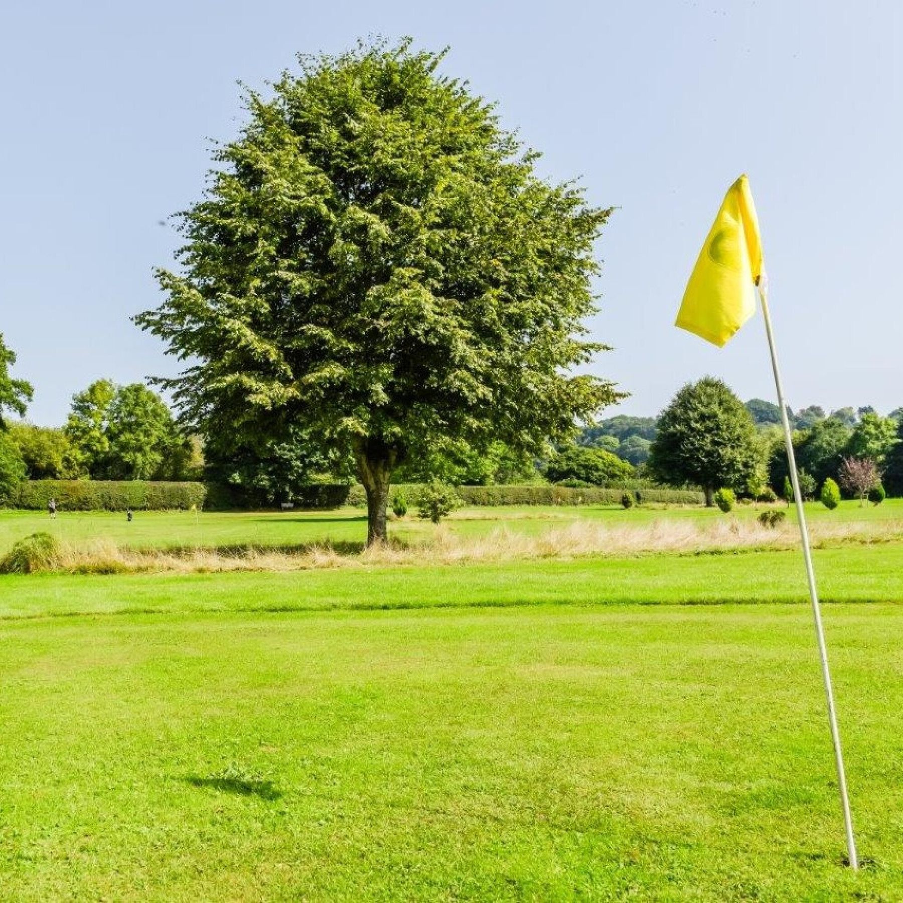 pitch and putt