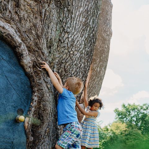 Tree door at Hampton Court Castle