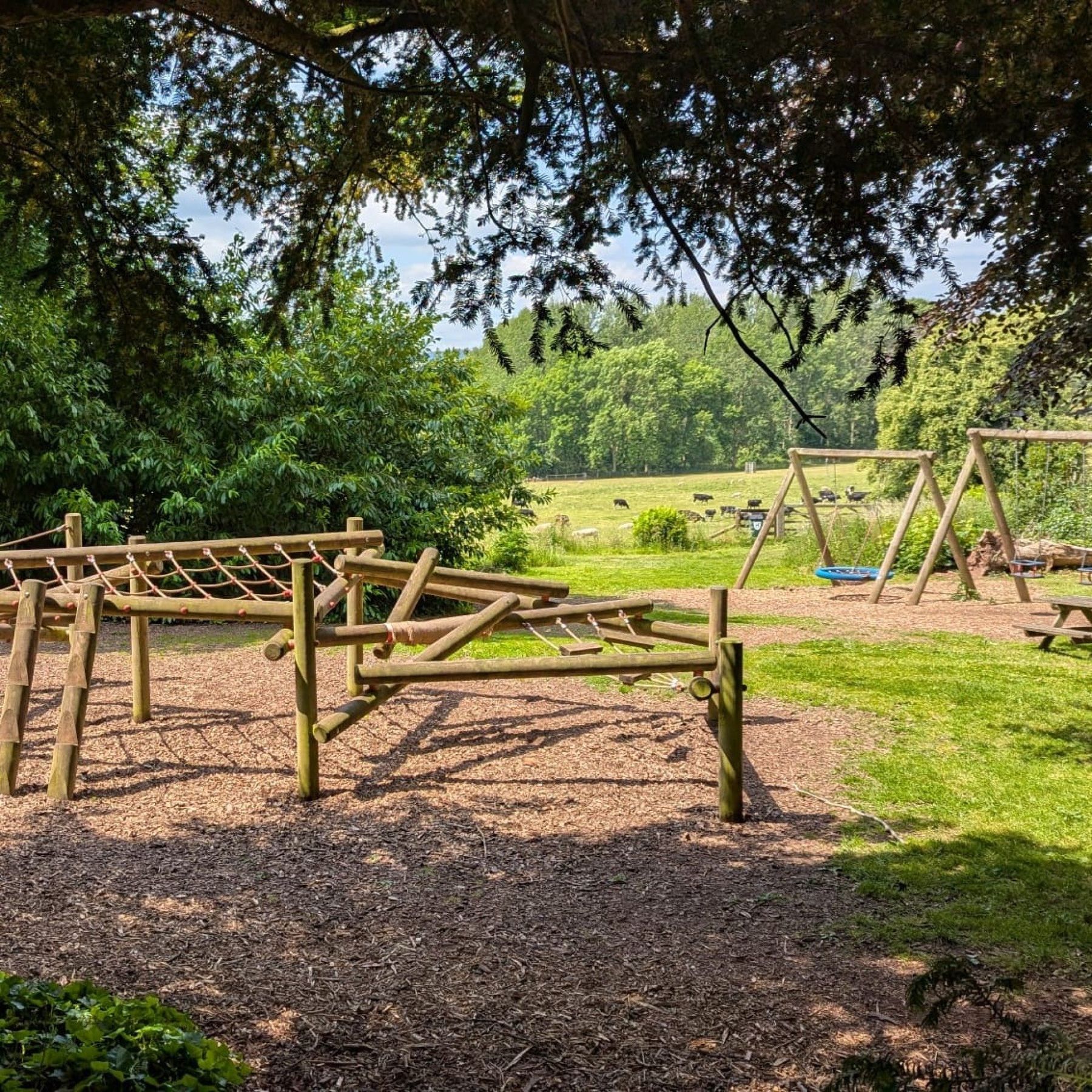 Play area