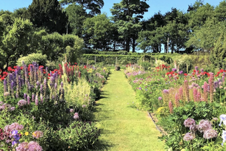 Hedge Croft Gardens 