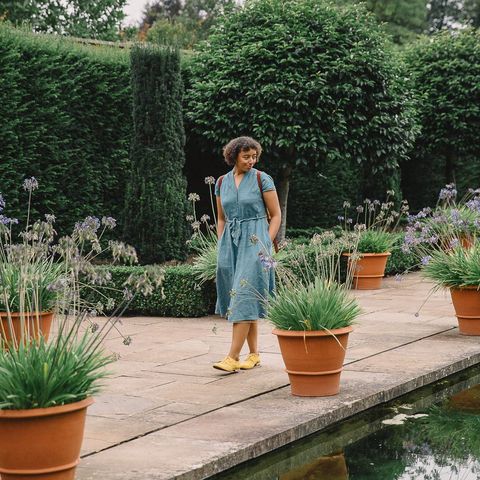 The Dutch Garden at Hampton Court