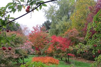 Moors Meadow Gardens