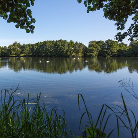 Titley Pool