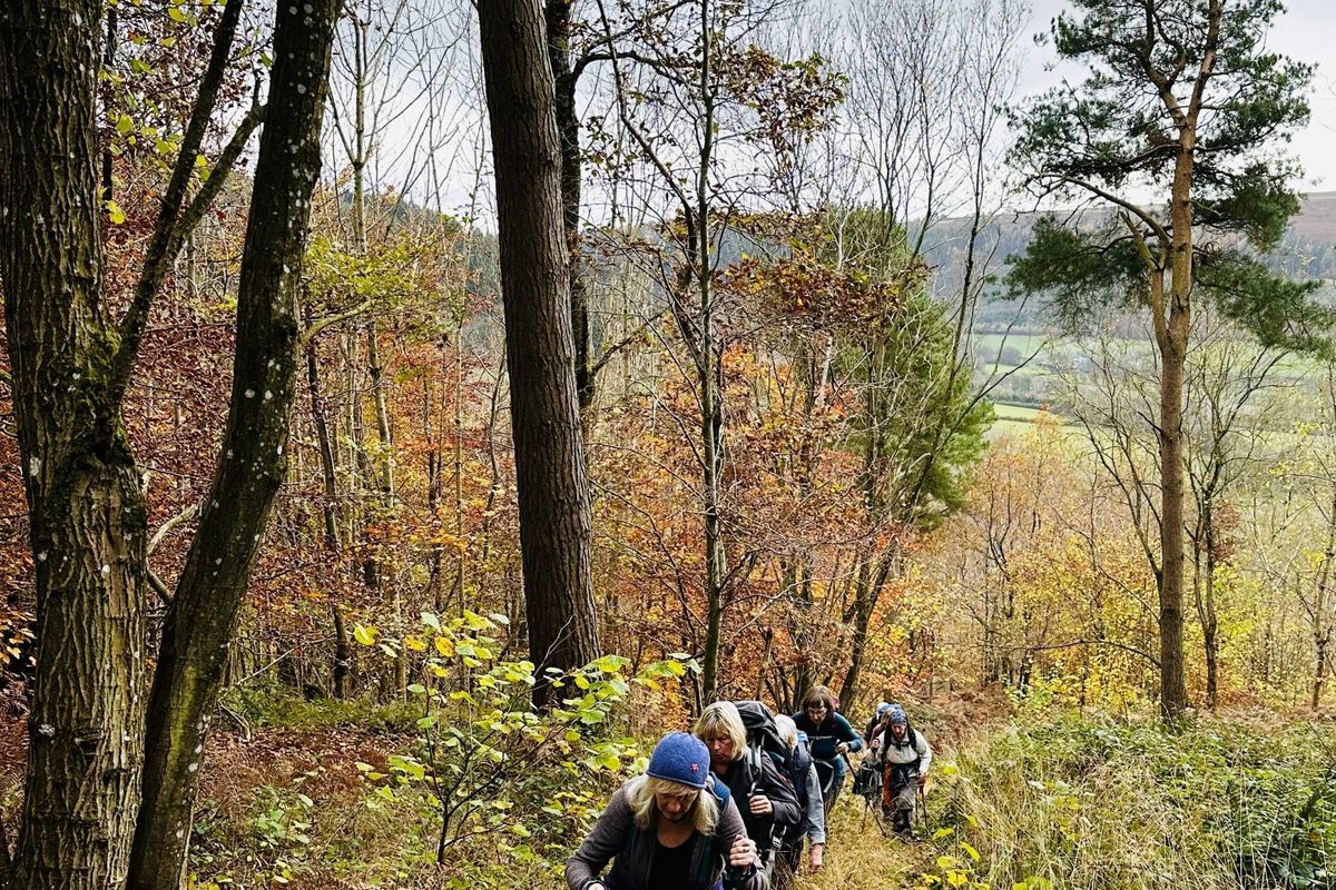 Autumn forest Herefordshire walkers