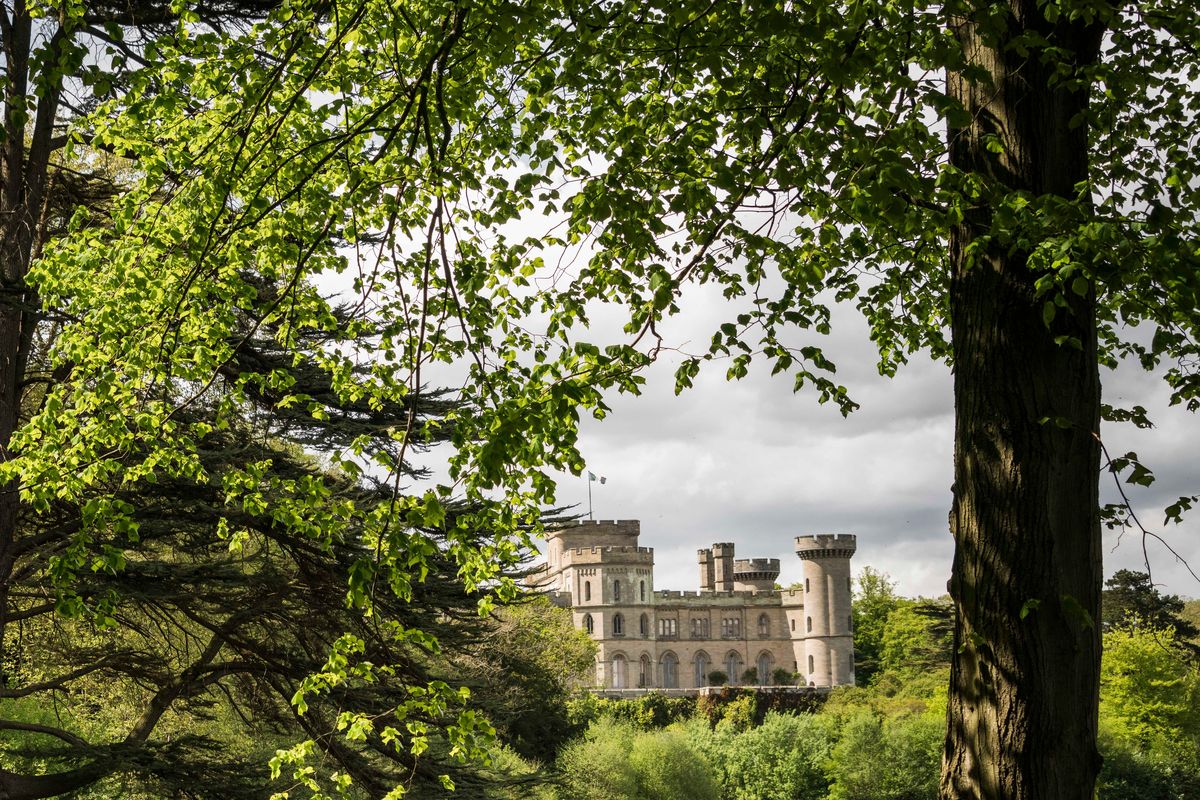 The Great British Dog Walk - Eastnor Castle