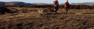 Hergest Ridge
