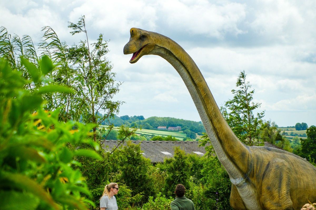 Who Let The Dinosaur Out? Summer Holidays Dinosaur Event