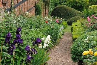 The Cathedral Gardens