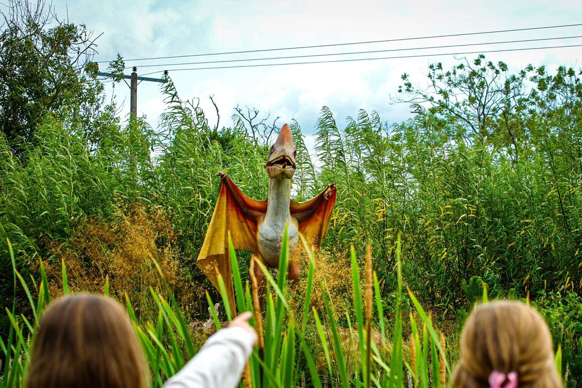 Who Let The Dinosaur Out? Summer Holidays Dinosaur Event