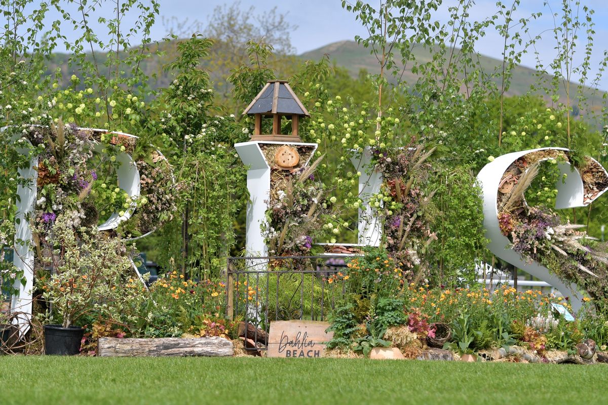 RHS Flower letter