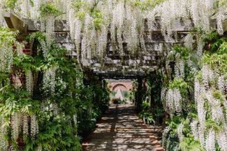 Wisteria arch at Brobury Gardens