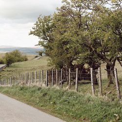 Cycling through Herefordshire